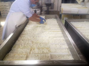 cuajada-quesos-gamazo