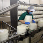 llenado-quesos-gamazo