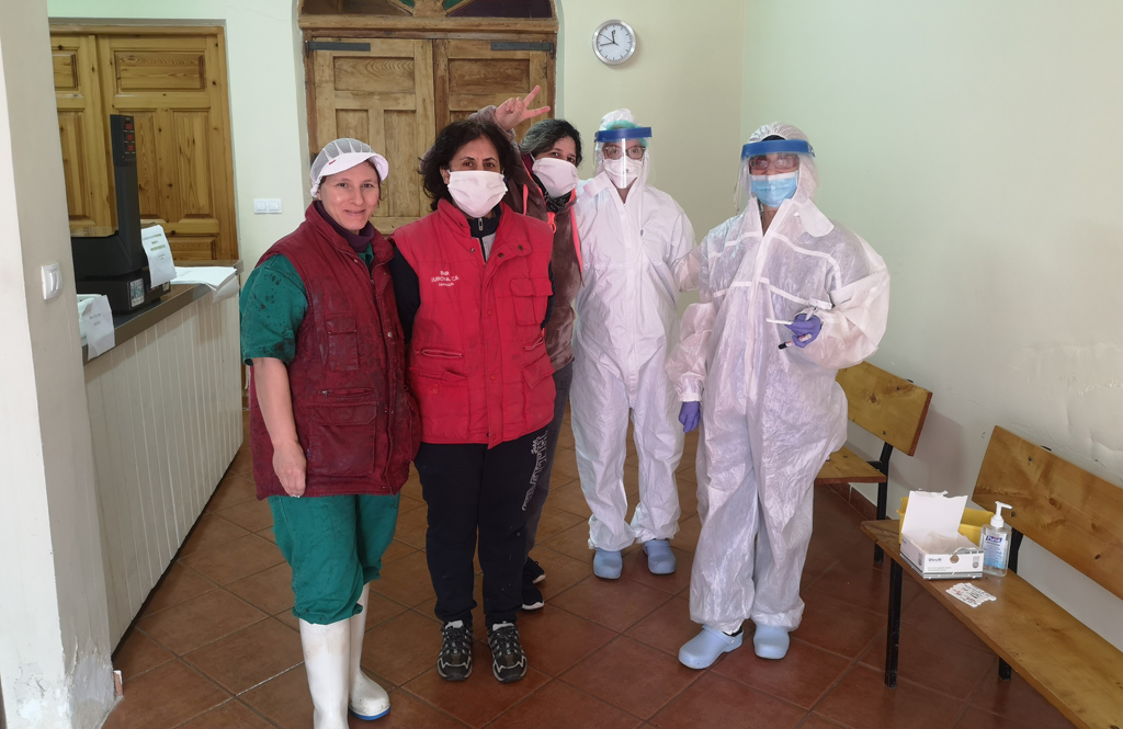 test-coronavirus-mayorga-quesos-gamazo