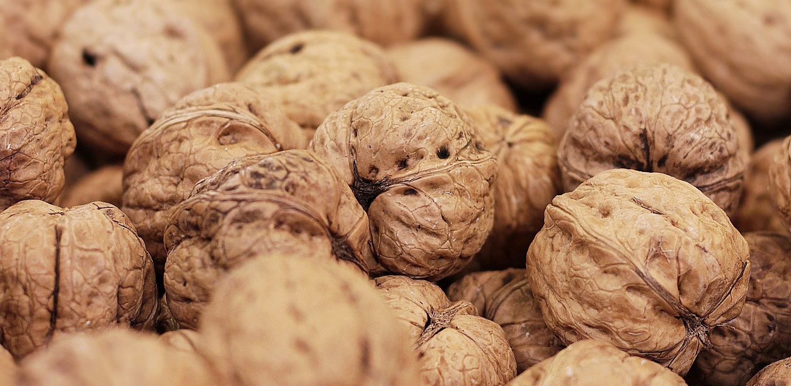 nueces-ecologicas-navidad