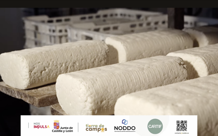 Quesos Gamazo - queso fresco Villalón