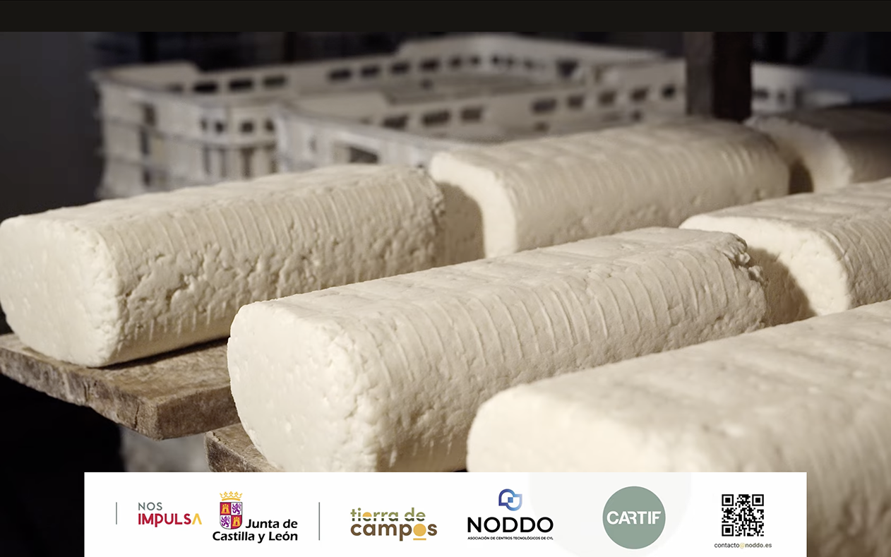 Quesos Gamazo - queso fresco Villalón